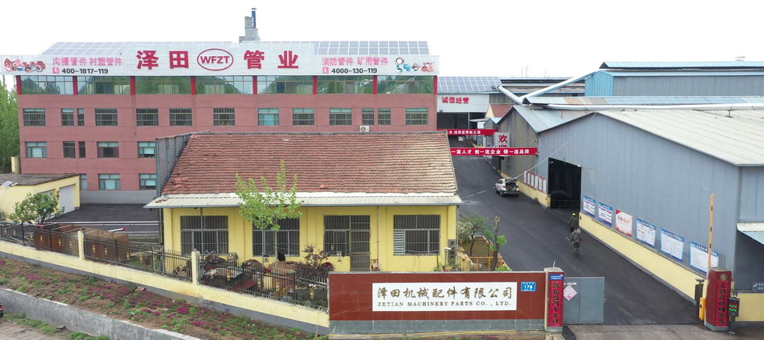 泽田简介